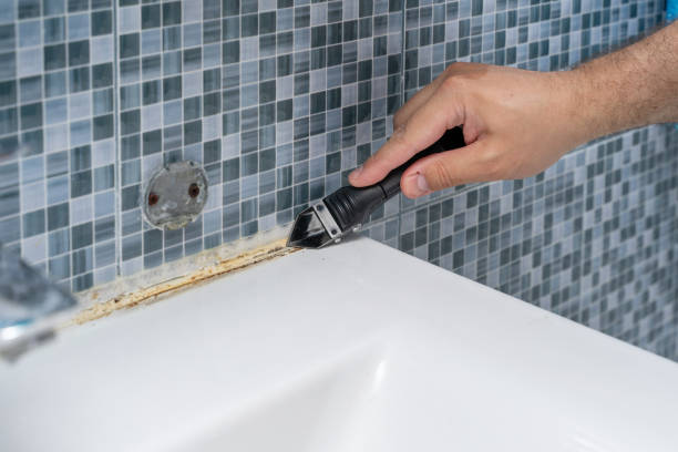 Best Affordable Mold Removal  in Silver Springs, NV