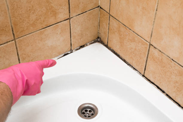 Best Professional Mold Removal  in Silver Springs, NV